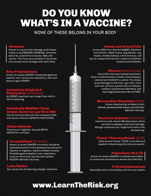 Vaccine Ingredients Chart